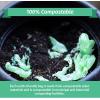 Reli. Compostable 33 Gallon Trash Bags | 40 Count | ASTM D6400 | Green | Eco-Friendly | For Compost