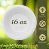 Reli. Compostable Paper Bowls, 16 oz (250 Pack – Bulk) | White Paper Bowls, Disposable | Eco-Friendly, Heavy Duty| Biodegradable, Sugar Cane Fiber Material | Small, Bagasse | Use for Soups (16oz)