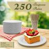 Reli. Compostable Paper Plates 7 Inch (250 Pack Bulk) | White Disposable Plates 7″ | Heavy Duty Paper Eco Friendly | Made of Sugarcane Fibers/Bagasse – Biodegradable/Compostable| Small