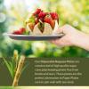 Reli. Compostable Paper Plates 9 Inch (140 Pack Bulk) White Disposable Plates 9″ | Heavy Duty Paper, Eco-Friendly | Made of Sugarcane Fibers/Bagasse – Biodegradable/Compostable