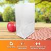 Reli. White Lunch Bags (125 Pack) | 6 lb White Paper Lunch Bags, Luncheon Sacks for Snacks and Gifts | Medium Size, Kraft Paper | Multipurpose for Lunch, Snacks, Gifts, Arts & Crafts, DIY