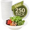 Reli. Compostable Paper Bowls, 16 oz (250 Pack – Bulk) | White Paper Bowls, Disposable | Eco-Friendly, Heavy Duty| Biodegradable, Sugar Cane Fiber Material | Small, Bagasse | Use for Soups (16oz)