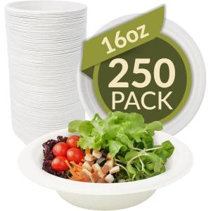 Reli. Compostable Paper Bowls, 16 oz (250 Pack – Bulk) | White Paper Bowls, Disposable | Eco-Friendly, Heavy Duty| Biodegradable, Sugar Cane Fiber Material | Small, Bagasse | Use for Soups (16oz)