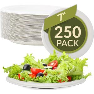 Reli. Compostable Paper Plates 7 Inch (250 Pack Bulk) | White Disposable Plates 7″ | Heavy Duty Paper Eco Friendly | Made of Sugarcane Fibers/Bagasse – Biodegradable/Compostable| Small