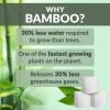 Reli. Bamboo Toilet Paper (12 Jumbo Rolls) | 3 Ply Toilet Paper (350 Sheets/Roll) Bathroom Tissue | Organic Bath Tissue | Bamboo Chemical Free Rolls (4200 Sheets Total)(Standard 3-Ply (12 Rolls))