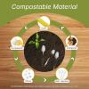 Reli. Compostable Spoons (200 Pack) | Soup Spoons, Disposable Utensils Heavy Duty | Compostable Utensils, Cutlery for Party, Hot Food, Party Supplies | BPA Free, Cornstarch (White)